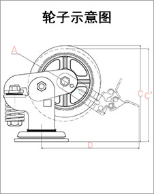 大世脚轮