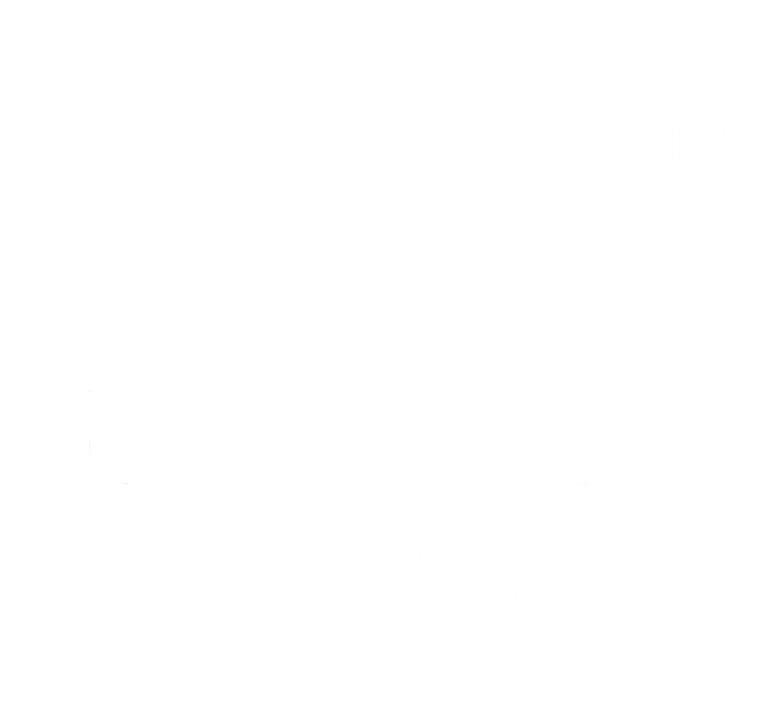 青岛大世汇豪脚轮有限公司